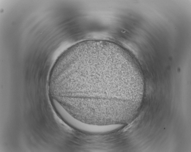 X0000088181471200706121639