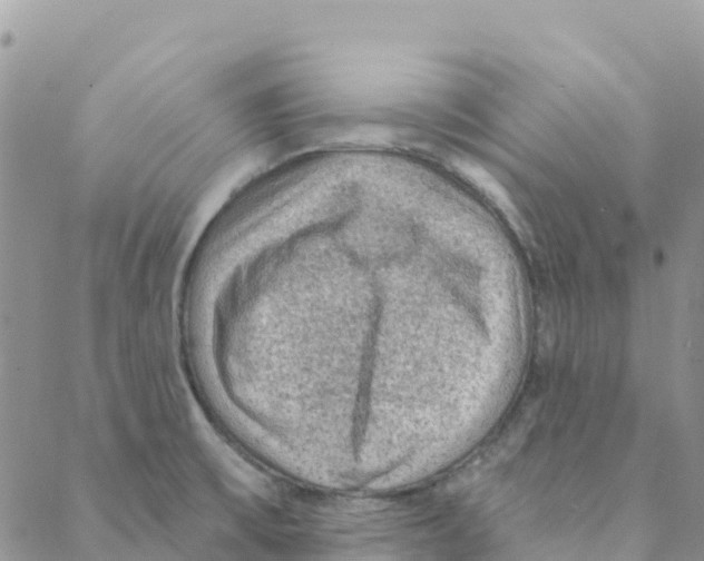 X0000088181475200706121639