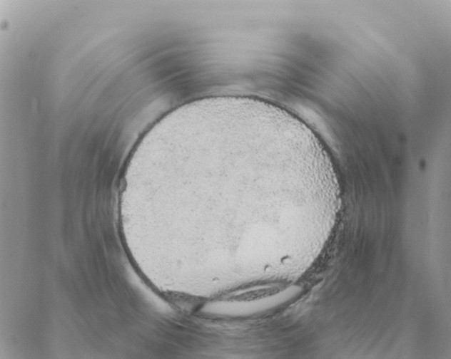 X0000088181476200706121639