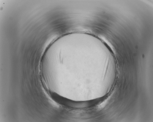 X0000088181477200706121639