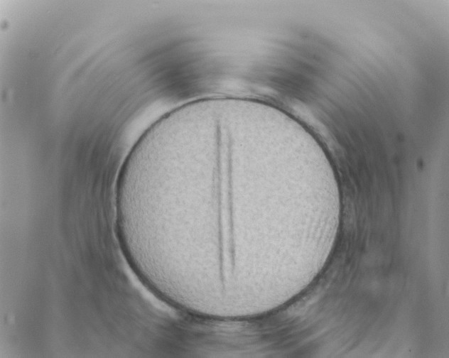 X0000088181479200706121639