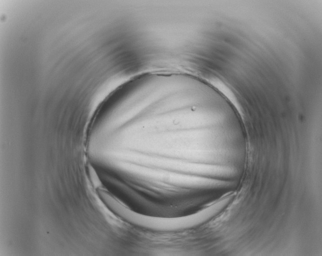 X0000088181485200706121638