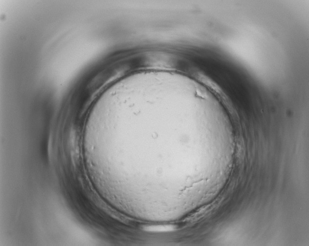 X0000088181487200706121638