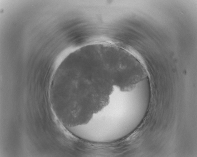 X0000088181488200706121638