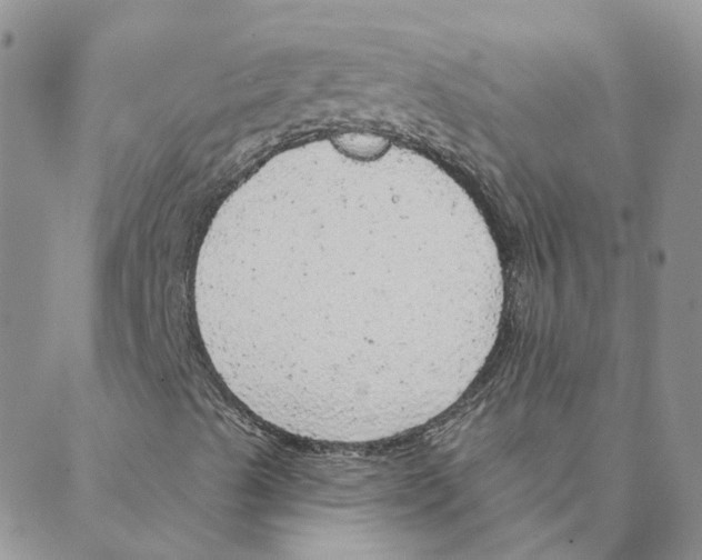 X0000088181489200706121638