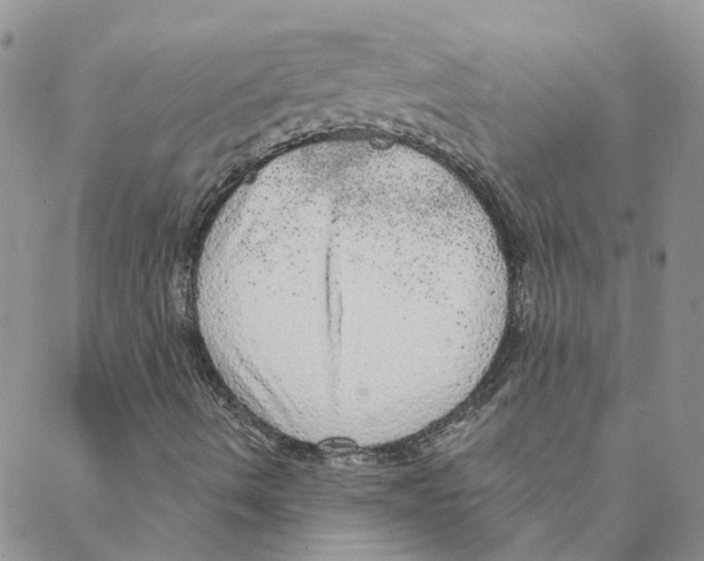 X0000088181490200706121638