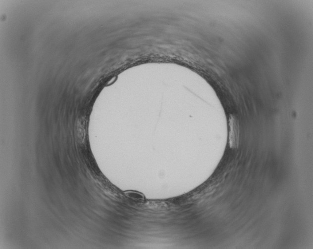 X0000088181491200706121638