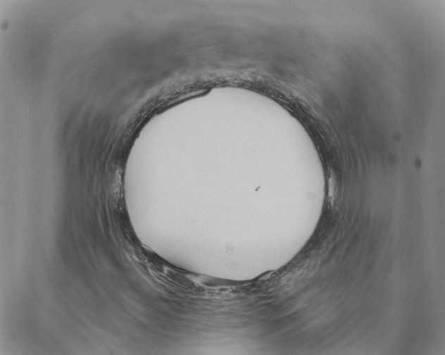 X0000088181492200706121638