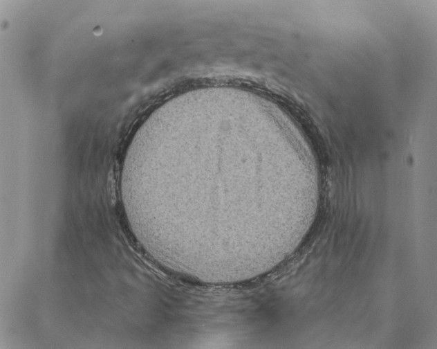 X0000088181493200706121638