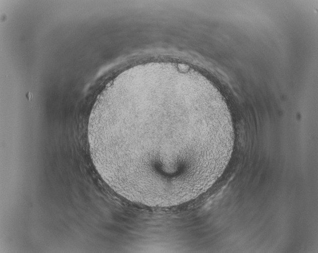 X0000088181494200706121638