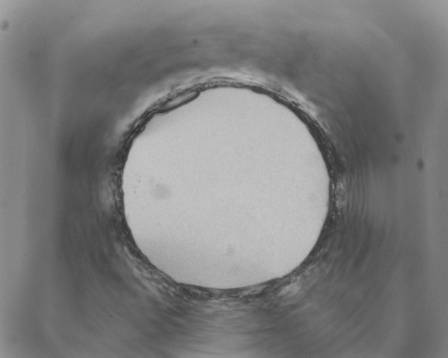 X0000088181496200706121638