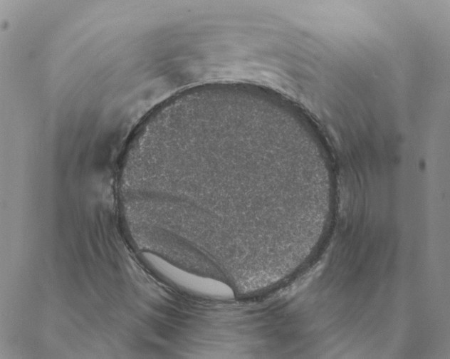 X0000088181497200706121638