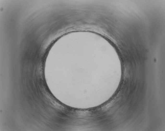 X0000088181498200706121638