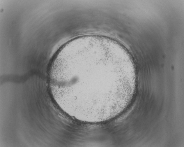 X0000088181501200706121638