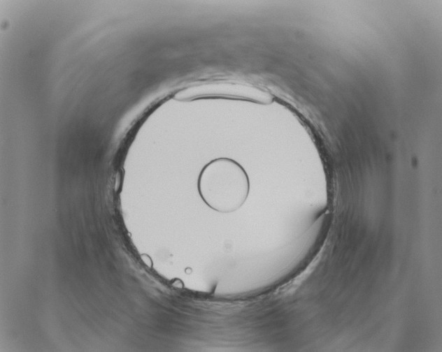 X0000088181502200706121638