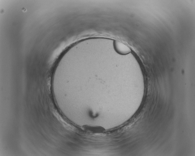 X0000088181503200706121638