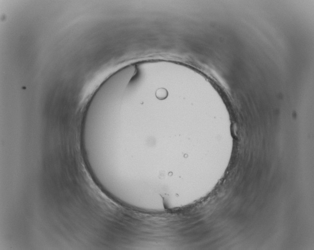 X0000088181504200706121638