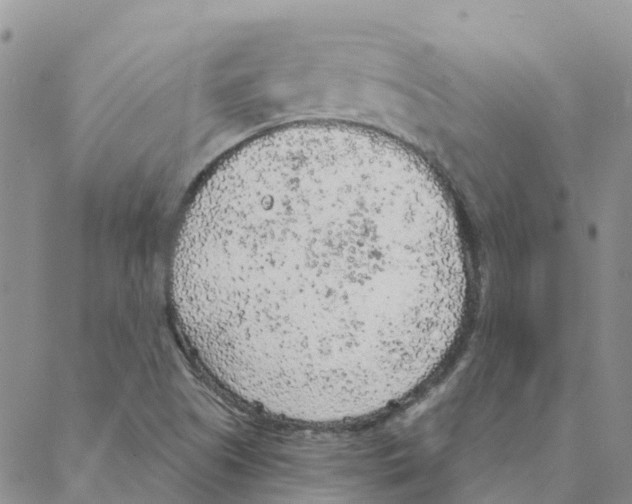 X0000088181505200706121638