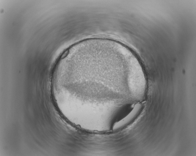 X0000088181506200706121638