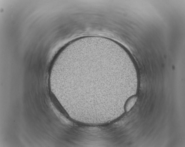 X0000088181507200706121638