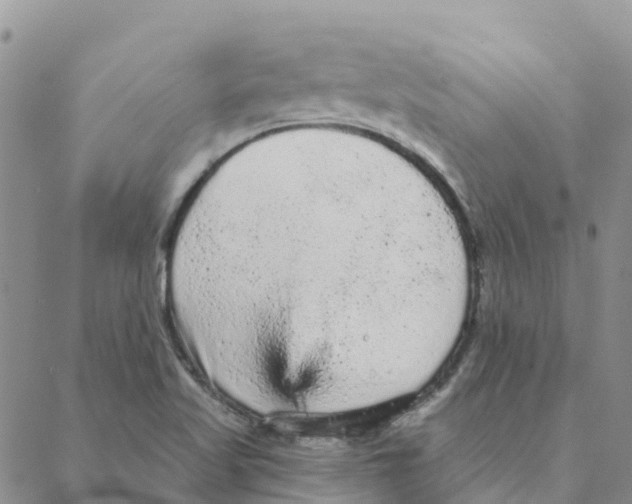 X0000088181509200706121638