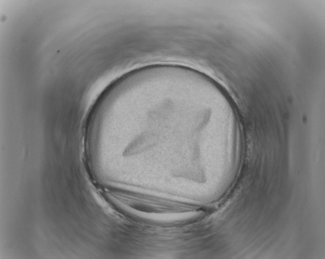 X0000088181511200706121638