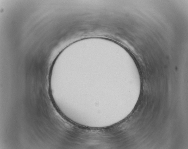 X0000088181512200706121638