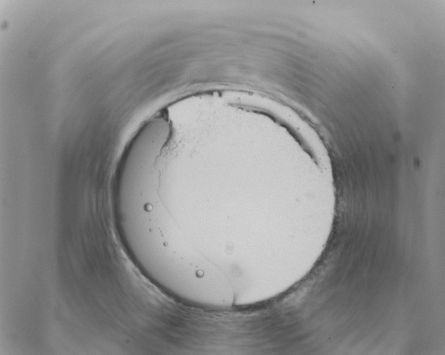 X0000088181514200706121638