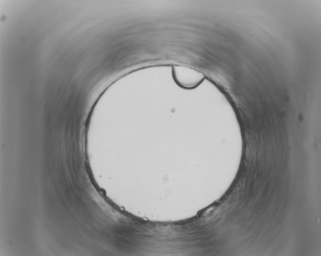 X0000088181516200706121638