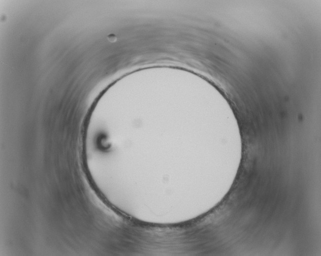 X0000088181518200706121638