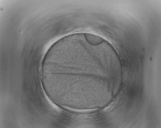 X0000088181519200706121638