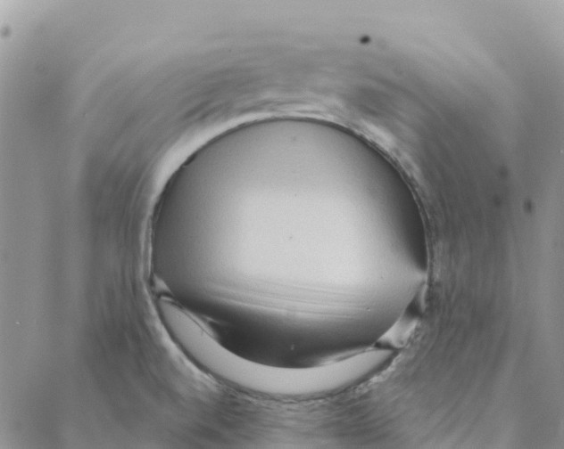 X0000088181520200706121638