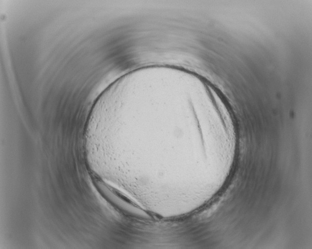 X0000088181521200706121638