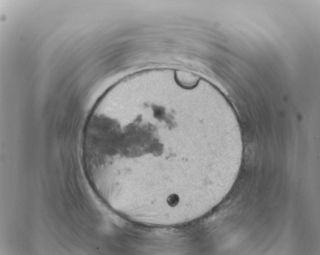 X0000088181523200706121638