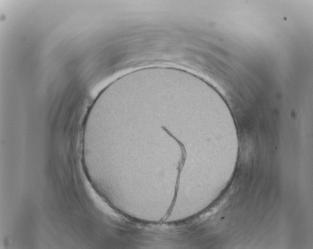 X0000088181526200706121638