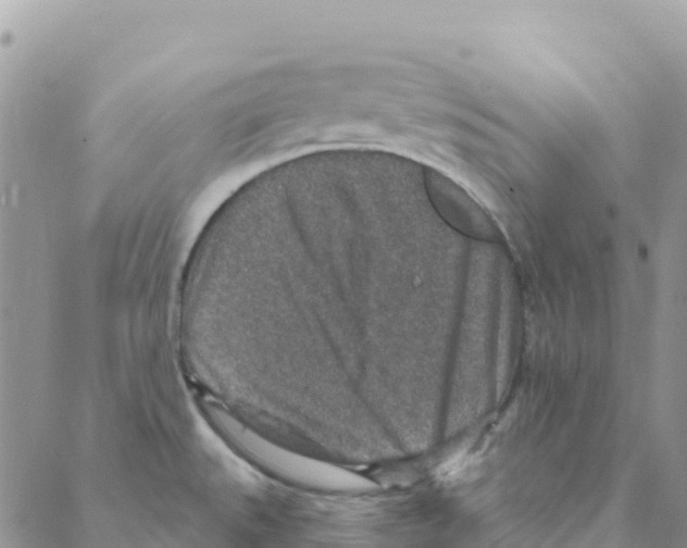 X0000088181527200706121638