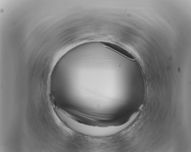 X0000088181528200706121638