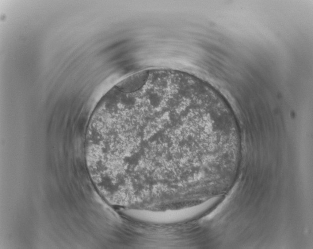 X0000088181529200706121638