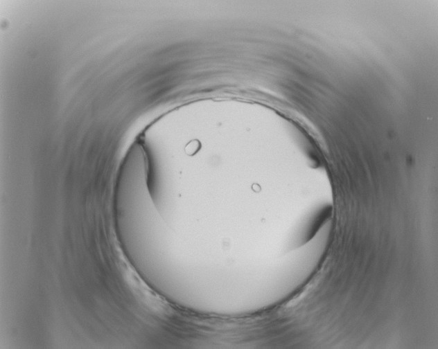 X0000088181530200706121638