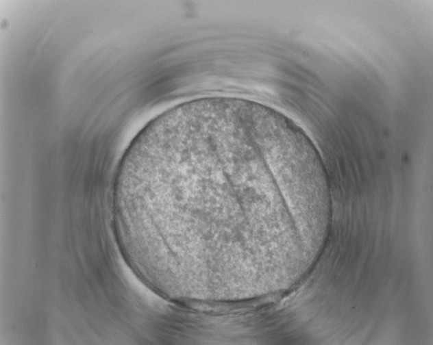 X0000088181531200706121638