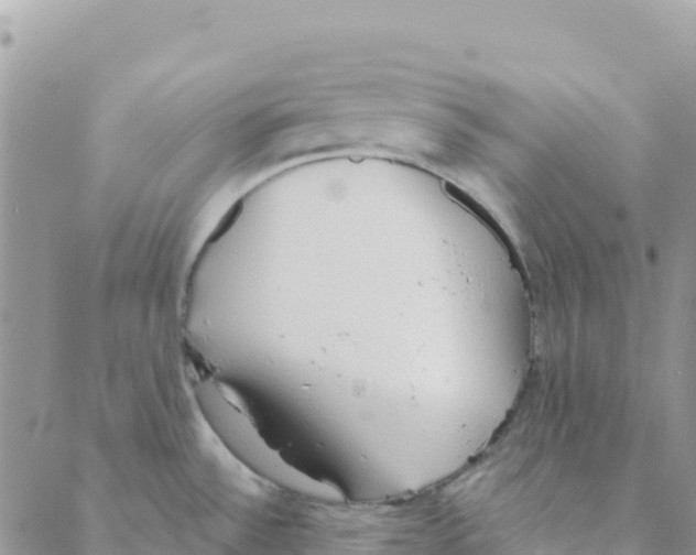 X0000088181532200706121638