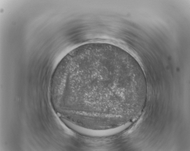 X0000088181533200706121638