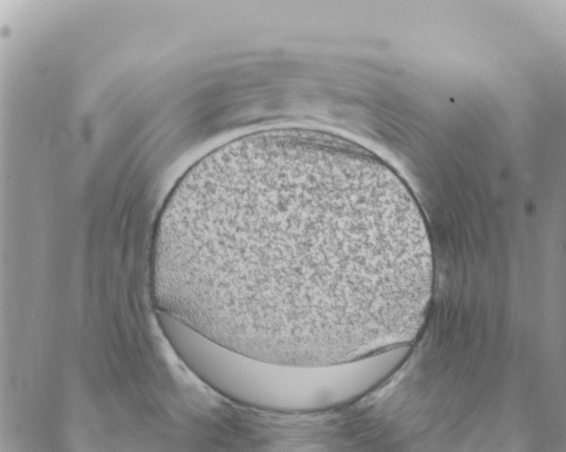 X0000088181534200706121638