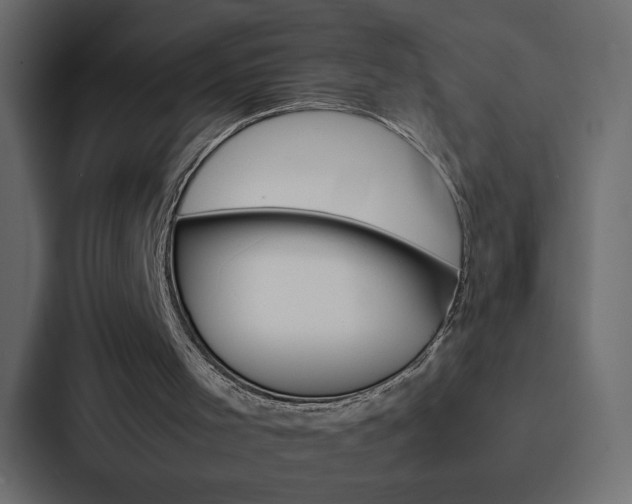 X0000088190001200705151008