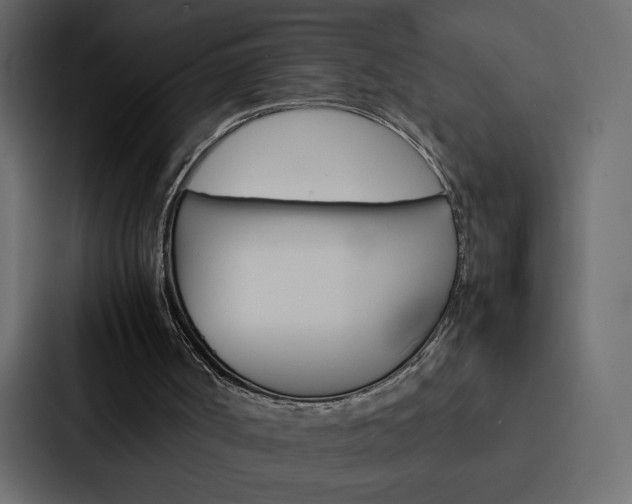X0000088190002200705151008