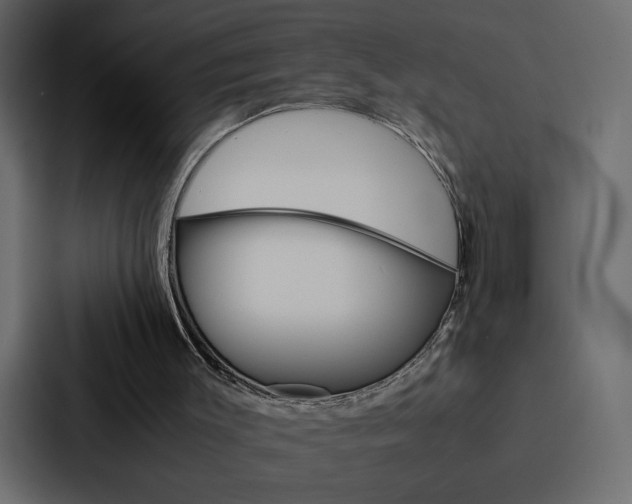 X0000088190003200705151008