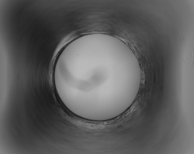 X0000088190004200705151008