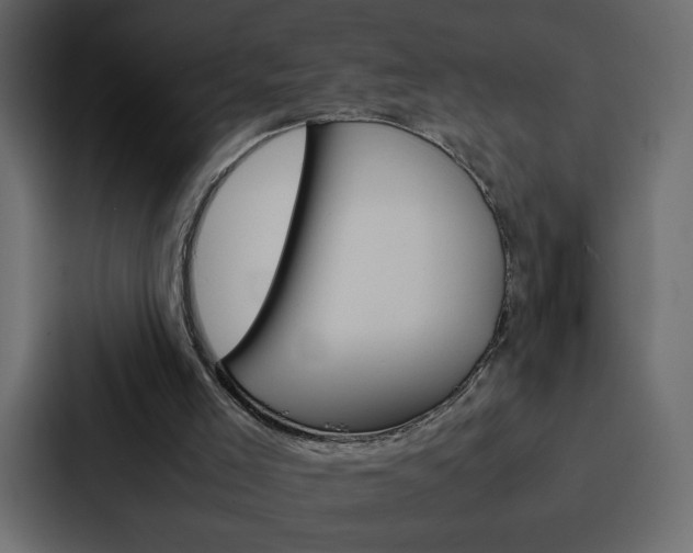 X0000088190005200705151008