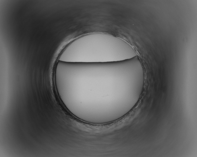 X0000088190006200705151008