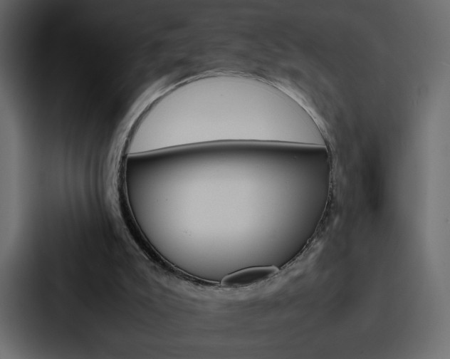 X0000088190007200705151008